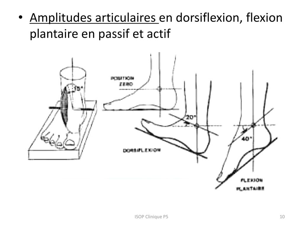 Examen clinique de la cheville ppt t l charger